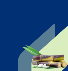 Secure funding against stored sugar & other sugar products